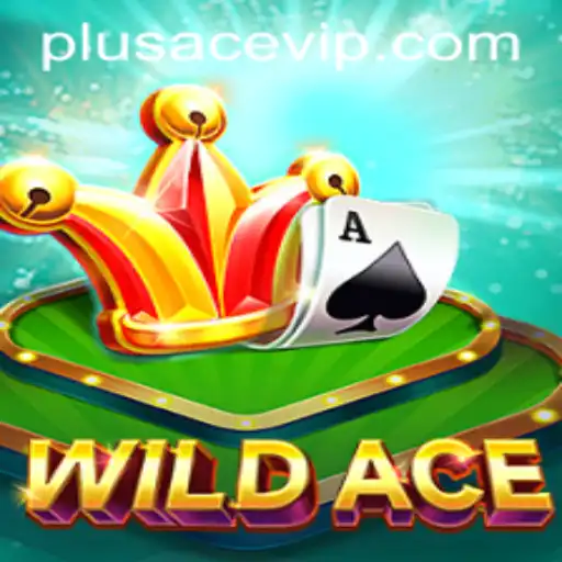 Exploring the Thrills of WildAce: An In-Depth Introduction