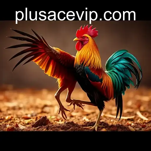 The Evolution and Impact of Online Sabong: A Focus on PlusAce VIP